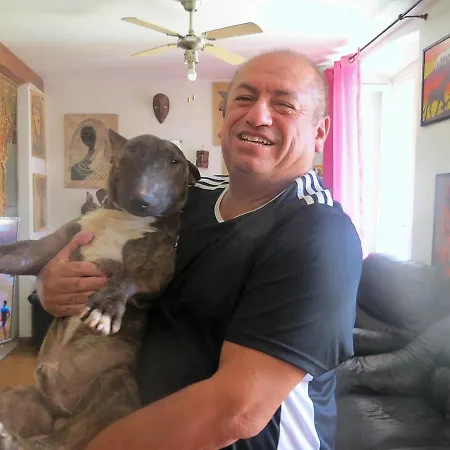 Guest house Center Nice