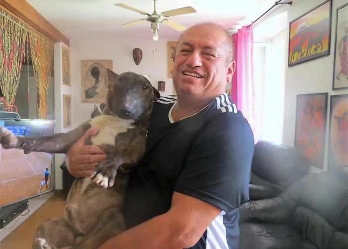 Guest house Center Nice